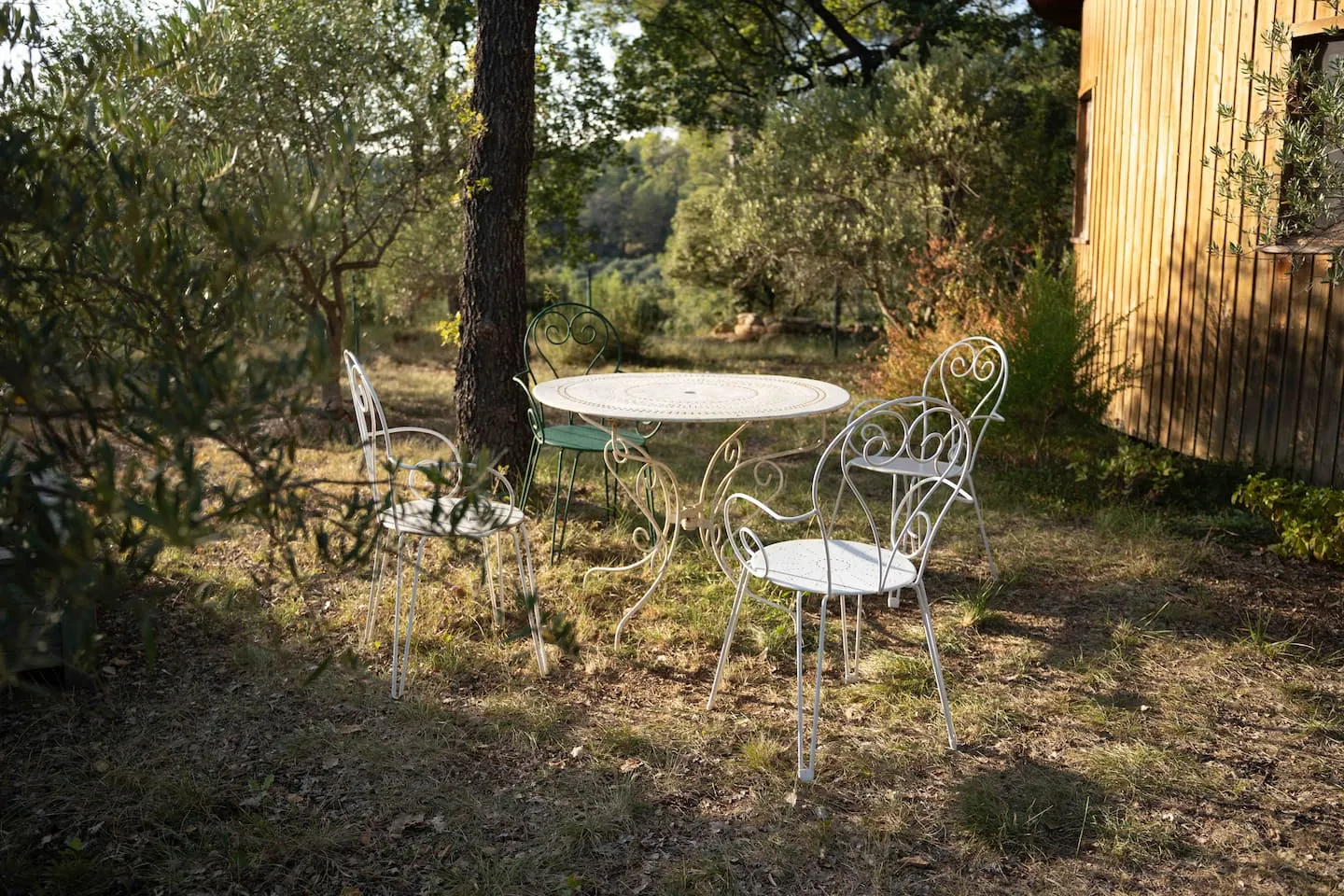 Le Chalet des Papillons 6